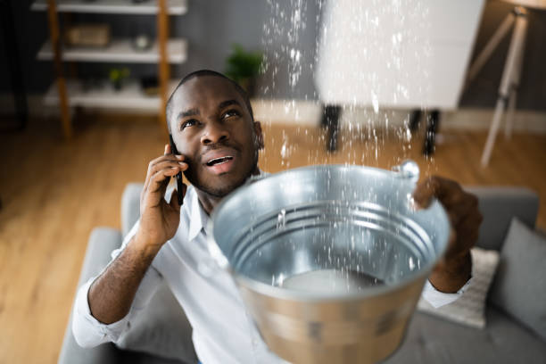 Best Flood restoration services  in Solon, OH