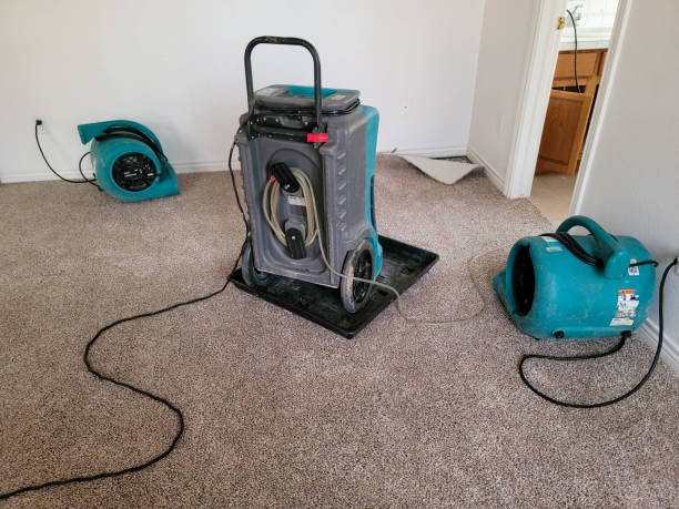 Best Water damage cleanup near me  in Solon, OH