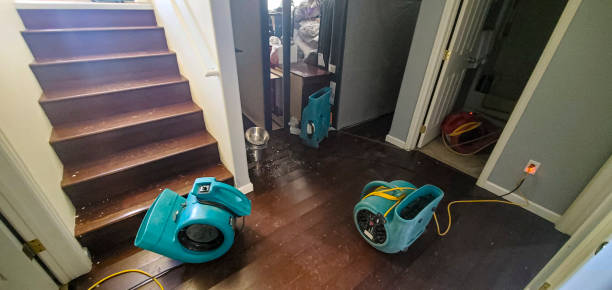 Best Basement water damage restoration  in Solon, OH