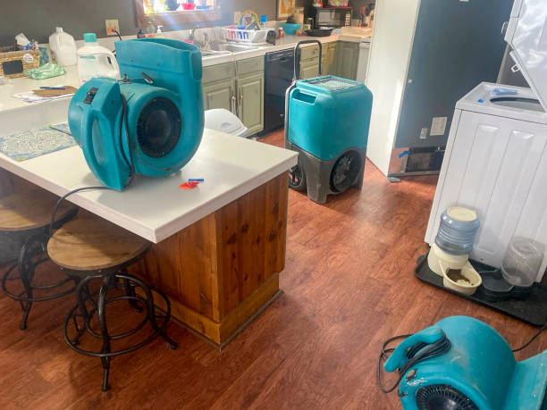 Best Flooded house restoration  in Solon, OH