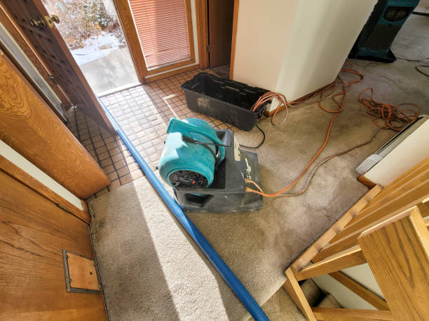 Best 24/7 water damage repair  in Solon, OH
