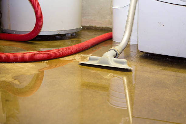 Best Commercial water damage restoration  in Solon, OH