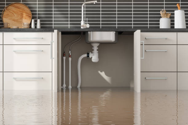 Best Water damage restoration near me  in Solon, OH