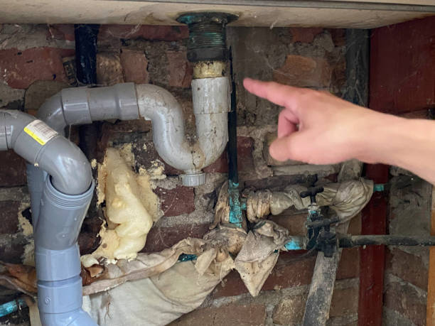Best Local water damage restoration  in Solon, OH