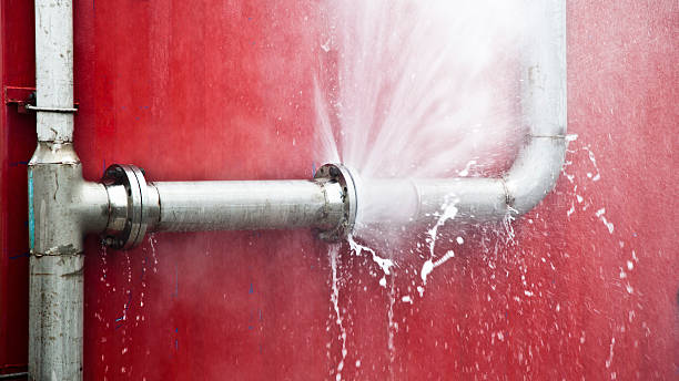 Best Carpet water damage restoration  in Solon, OH