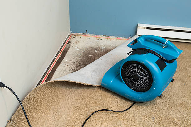 Best Water damage contractors near me  in Solon, OH